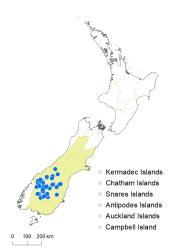 Veronica thomsonii distribution map based on databased records at AK, CHR & WELT.
 Image: K.Boardman © Landcare Research 2022 CC-BY 4.0